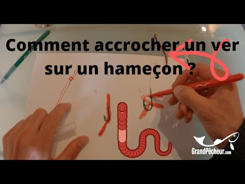 Vidéo: Quelle taille d'hameçons pour les vers de sable ?