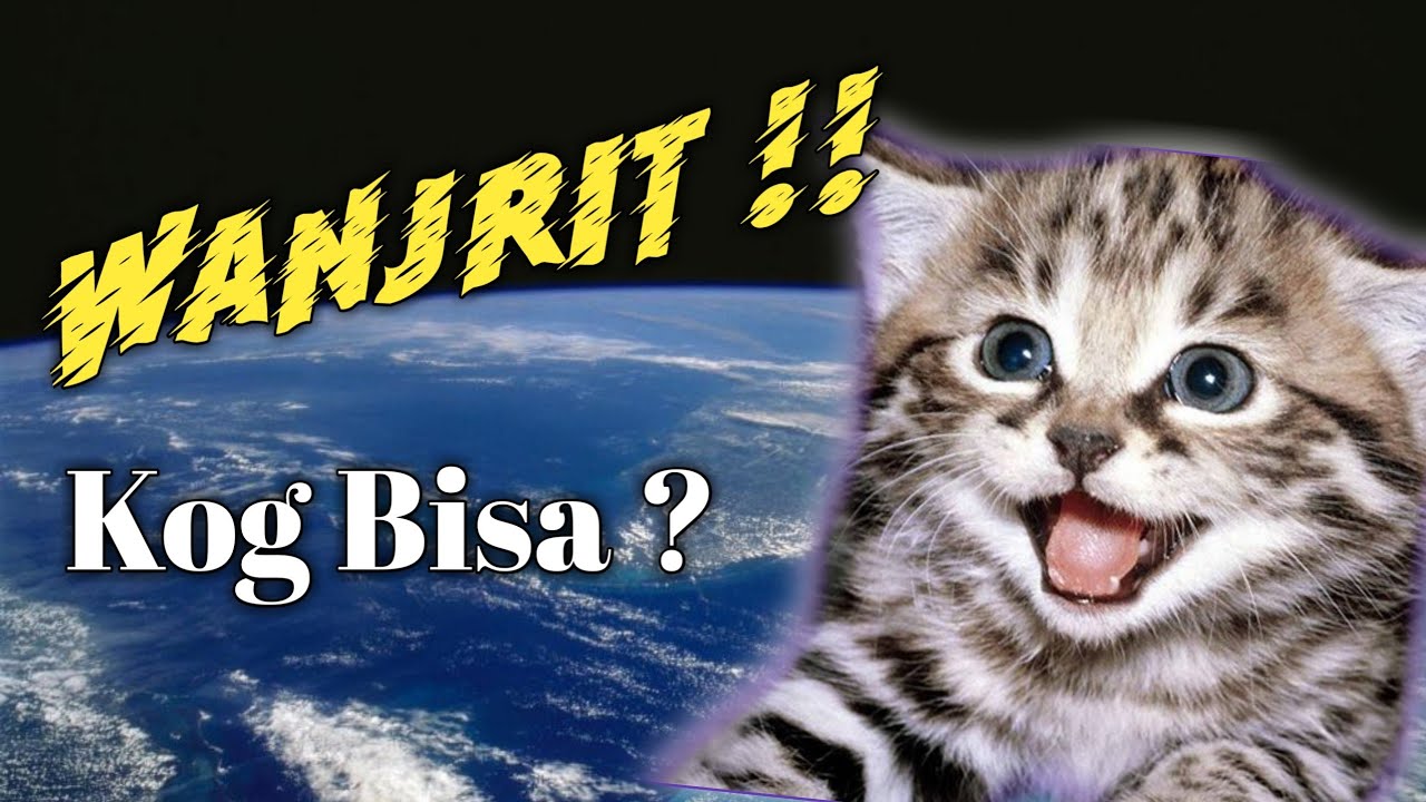 Tutorial Picsay Pro | Cara Menambah Font Eksternal, Bisa Sampai 1000 Fonts