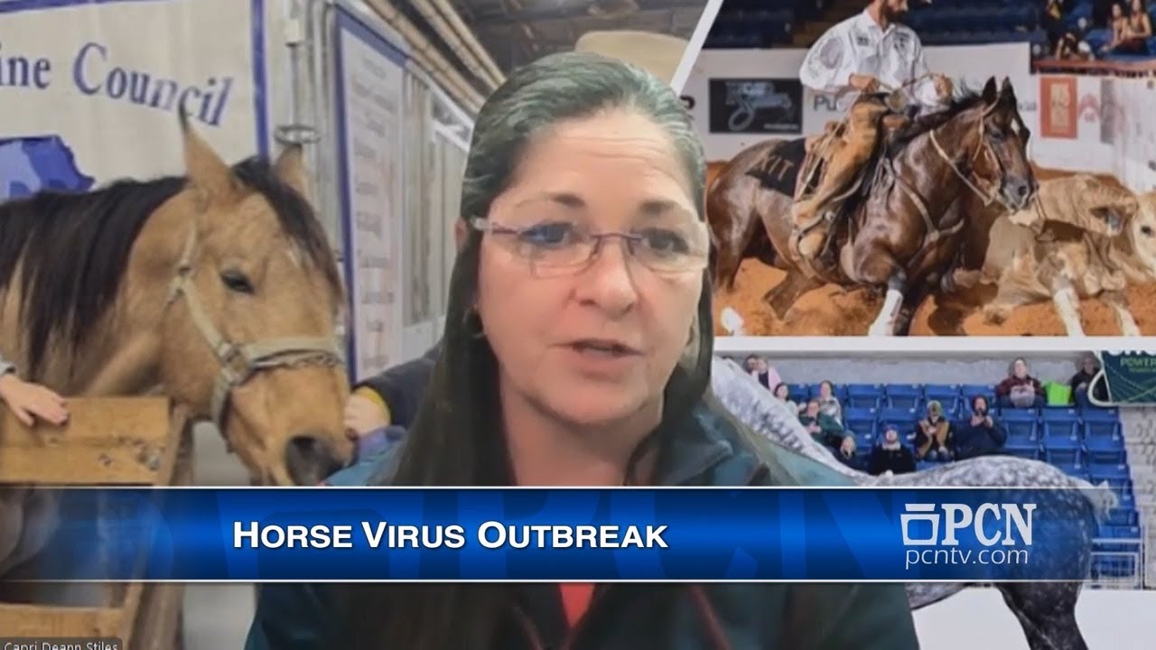 Horse Virus Outbreak, On The Issues with Capri Stiles