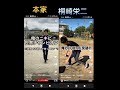 桐崎栄二と本家比べてみた