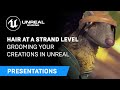 Hair at a Strand Level | Grooming your creations in Unreal Engine