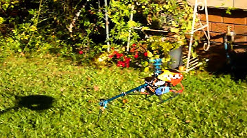 trex 450 clone First flight