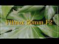 【POV】Viltrox 50mm F2で切り取る御徒町スナップ