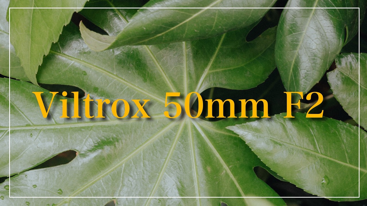 【POV】Viltrox 50mm F2で切り取る御徒町スナップ