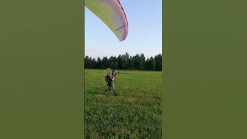 Газу! 💨⠀Buzz Z4 24m Moster 185