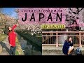 Places with best sakura in Japan  I My favourite cherry blossom spots in Tokyo and Osaka