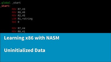 Learning x86 with NASM - Declaring Uninitialized Data