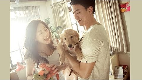 『一分間だけ』映画オリジナル予告編