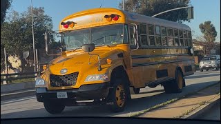 Zum Service Inc. 2023 Blue Bird Vision #241226