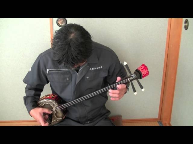 本皮一枚張り三線・桃原チーガー西平開鐘胴 - YouTube