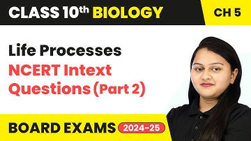 Life Processes - NCERT Intext Questions (Part 2) | Class 10 Biology Chapter 5 | CBSE 2024-25