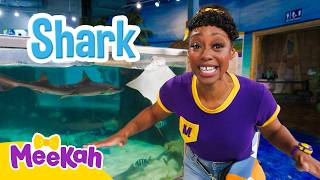 meekah meets amazing sea creatures interactive aquarium