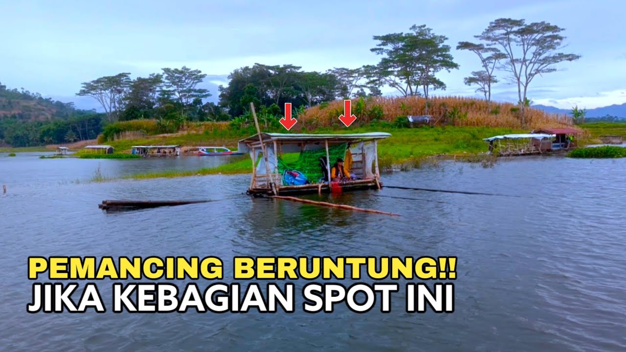 Gacor Parahh !! Para Pemancing Berebutan untuk Mendapatkan Spot Ini || Mancing Saguling terbaru