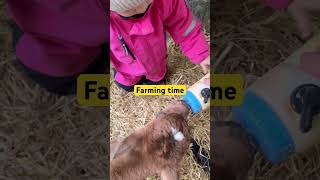 Watching the end #funny of