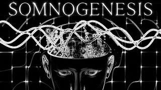 SOMNOGENESIS / FULL SLEEP / CIRCADIAN RHYTHM OPTIMIZATION .