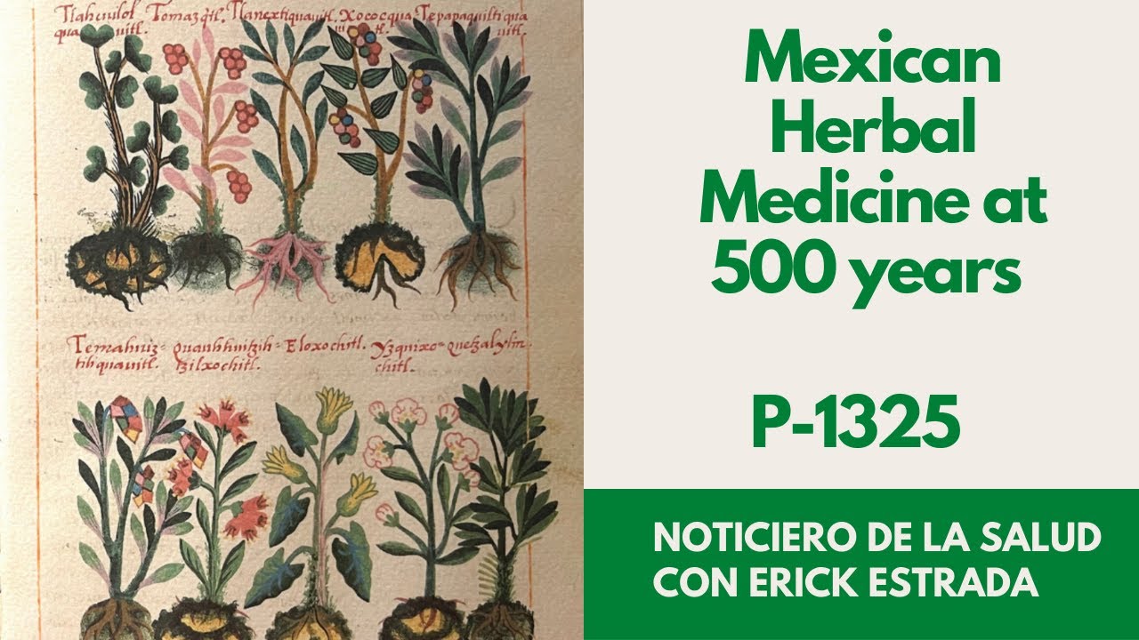 P1325 Mexican Herbal Medicine at 500 years YouTube
