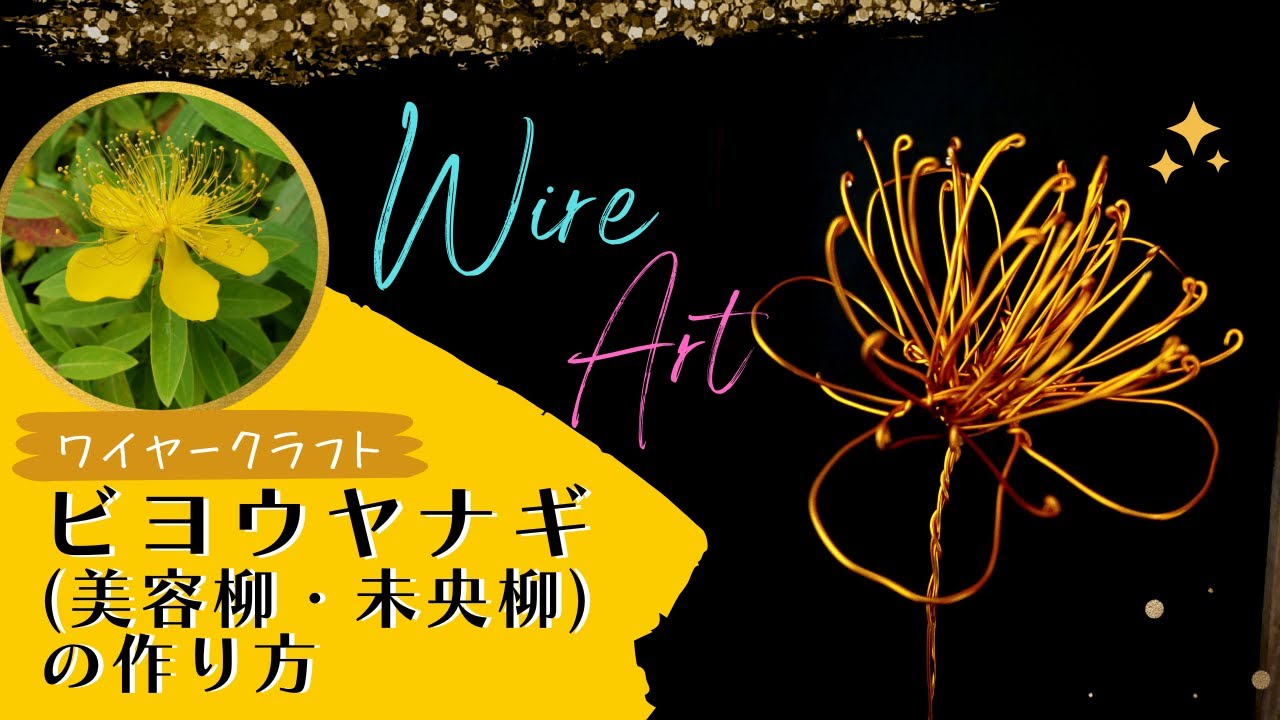 ワイヤーアート ビヨウヤナギ 美容柳 未央柳 の作り方 Youtube