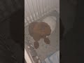 Random stuff
