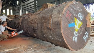 The Process Of Producing Raw Wood | Giant Ironwood, Working In Woodworking Processing Factory