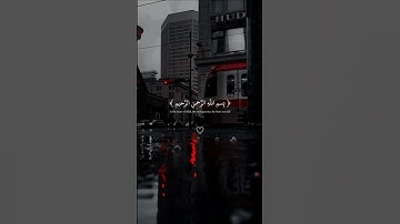 تلاوة هادئة منـ سورة [ السجدة ] | عبدالرحمن مسعد |❤️‍🩹🎧