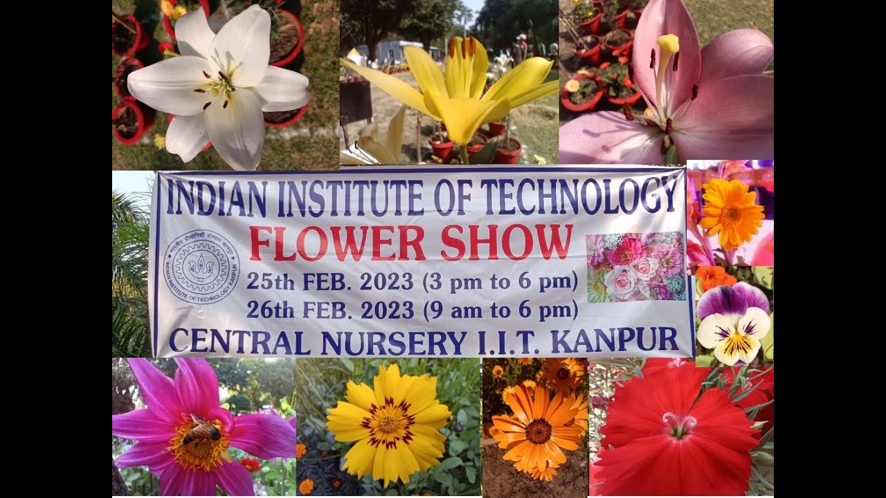 Flower show 2023 at IIT Kanpur 🌸 🌼 🌻 💐 🌷 IITK IITKanpur iit nature