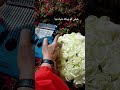 کالیمبانوازی آهنگ سلطان قلبها از عارف آهنگ ماندگار یه دل میگه برم برم با کالیمبا کالیمبانوازی