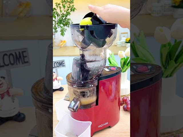 Awesome juicer machine | By Amazon ProBox class=