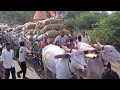 Karnataka bijapur khilar  heavy loading khillar bulls karnataka