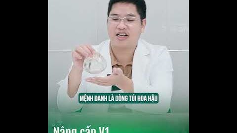 MENTOR XTRA (MENTOR) và NANOCHIP ERGONOMIX (MOTIVA) -CHỌN túi nào để nâng V1???