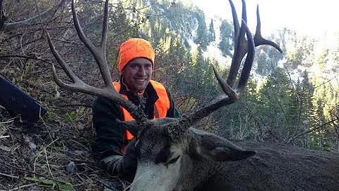 Mule Deer hunting Utah Public Land - Stuck N the Rut 40