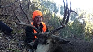 Mule Deer hunting Utah Public Land - Stuck N the Rut 40