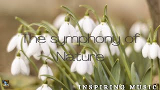 the symphony of nature | Inspiring, motivating music