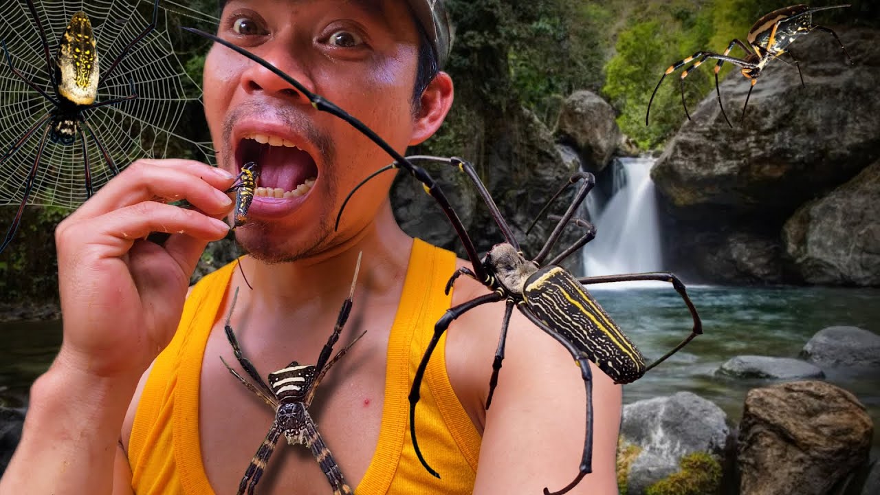 119 - Adventure of Hunting and Catching 20 Golden Spiders in the River ...