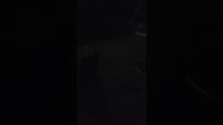 14 Bahar Amatör Ama Muhteşem Ses