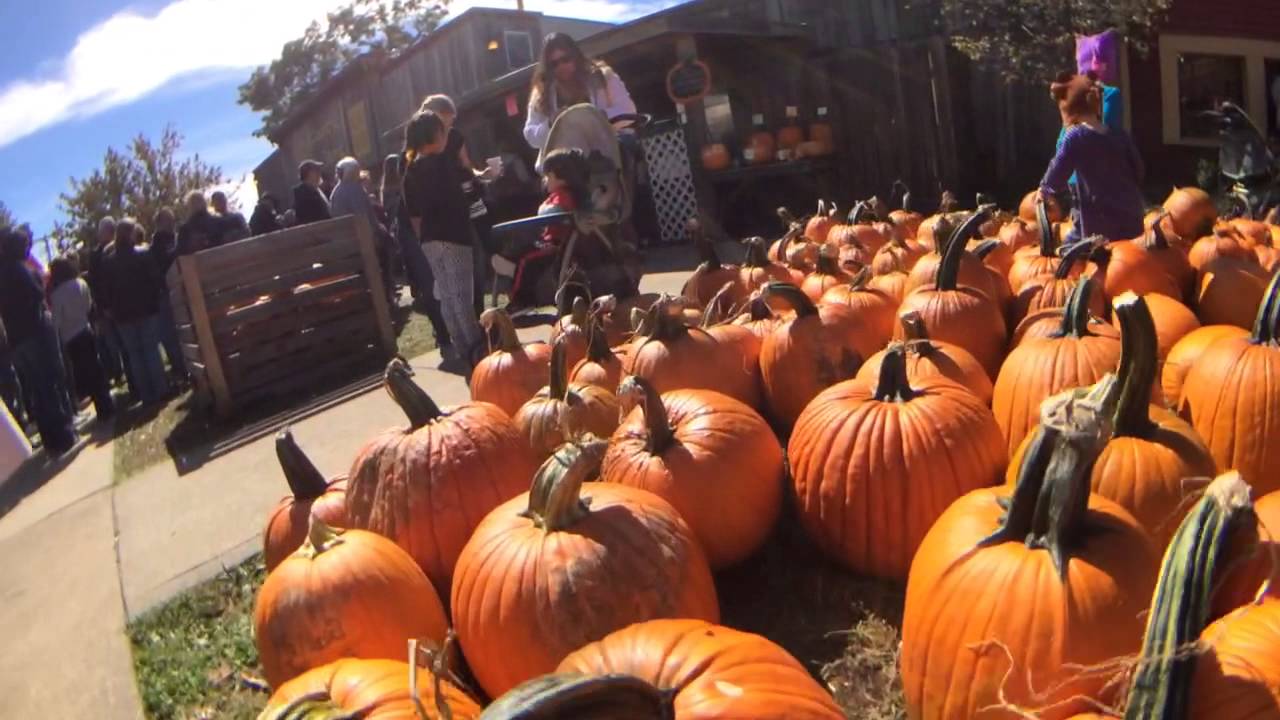 Louisburg Cider Mill Ciderfest w The Pheasant Pluckers. YouTube