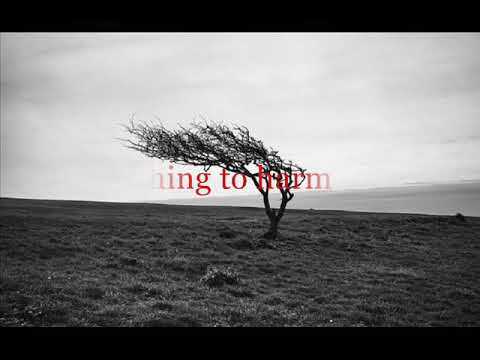 Buckethead ft Azam Ali \u0026 Serj Tankian • Coma (lyrics)