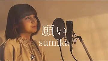 願い Sumika 願い Sumika