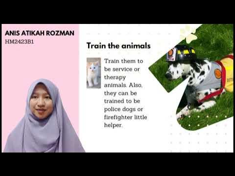 Persuasive Speech ELC590 (Mock Video) Anis Atikah Binti Rozman - YouTube