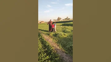 شوفو رد فعل اولاد العرباوي عن الهجره الغير شرعيه 