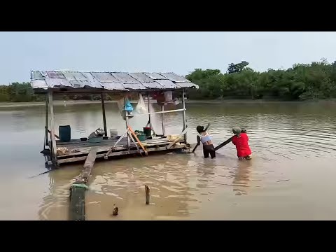 VIDA REAL NA AMAZÔNIA/SECA NO LAGO AMANÃ.
