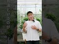 【もう準備した？】夏のお部屋は涼しい空気を循環させて🎐