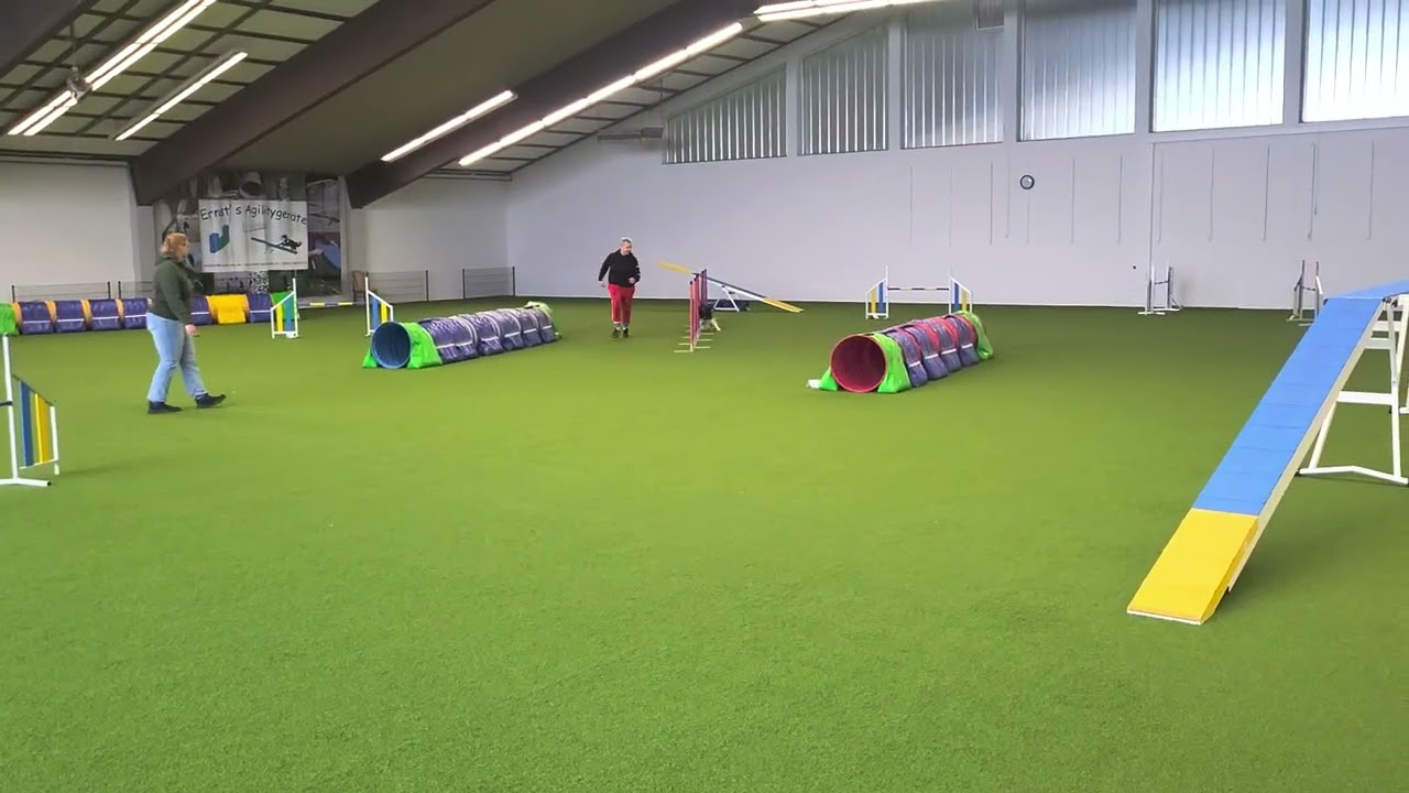 Turnier Vöhringen, 09 11 25, Beegy, A3  0 Fehler, Platz 2