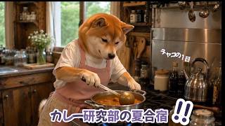 カレー研究会、夏合宿へ行く