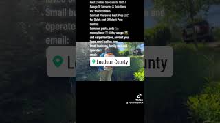 Pest Control Services in Loudoun County, VA