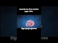 Https Kwai Video Com U Ogrugames TCw6zZcp Https Kwai Video Com U Ogrugames TCw6zZcp