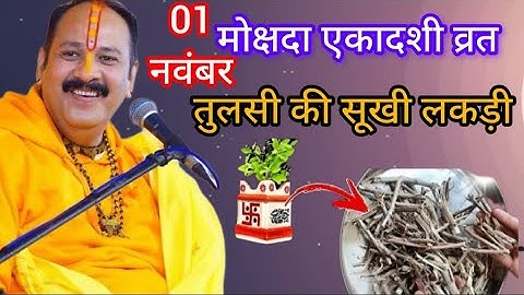 01 दिसंबर सोमवार मोक्षदा एकादशी व्रत को तुलसी की सुखी लकड़ी वाला उपाय जरुर करे || Pradeep Ji Mishra 