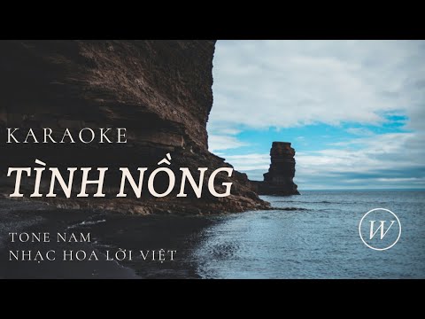 Video KARAOKE - TÌNH NỒNG | TONE NAM | NHẠC NGOẠI LỜI VIỆT... - YouTube
