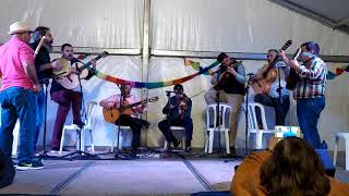 Fiestas motores jarales Lorca(1)