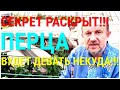 ПЕРЦЫ для огромного урожая ВЫРАЩИВАЙТЕ ТОЛЬКО ТАК! Болеют перцы, как им помочь Поделись со всеми!!!