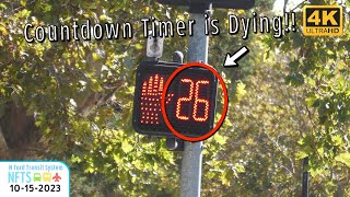Dialight LED Pedestrian Signal with Flashing Countdown Timer in Pleasanton, California
